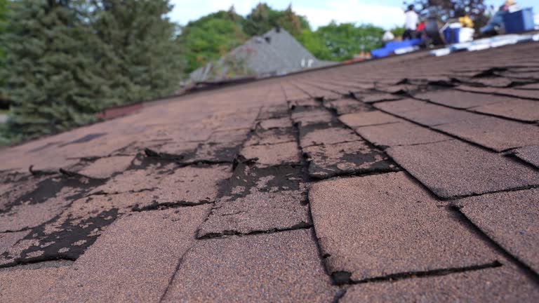 Best Gutter Installation and Repair  in USA